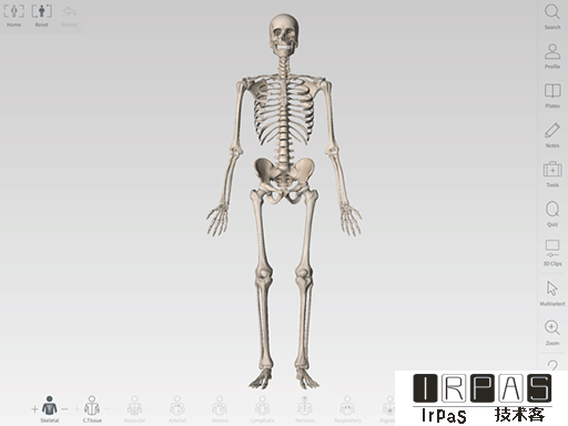 Complete Anatomy - 3D 高清，看遍人体骨骼图[iPad] 2