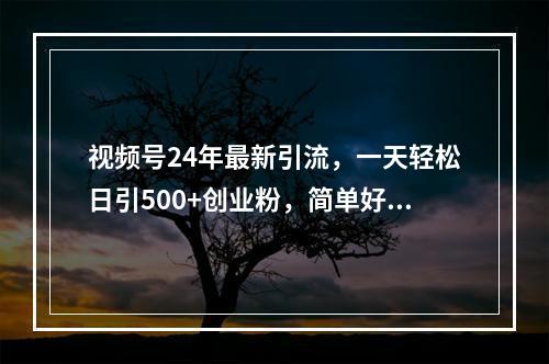 视频号24年最新引流，一天轻松日引500+创业粉，简单好上手，轻松引爆流量