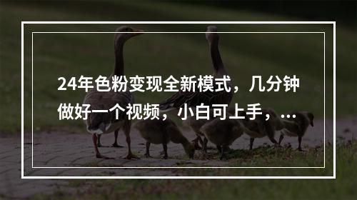 24年色粉变现全新模式，几分钟做好一个视频，小白可上手，每天半小时收入300+