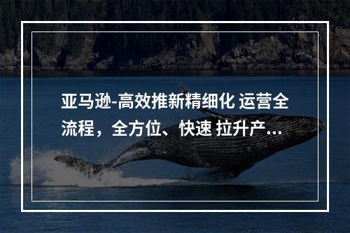 亚马逊-高效推新精细化 运营全流程，全方位、快速 拉升产品排名和销量