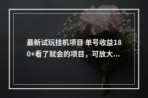 最新试玩挂机项目 单号收益180+看了就会的项目，可放大操作 操作简单易