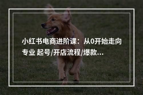 小红书电商进阶课：从0开始走向专业 起号/开店流程/爆款笔记/等等（20节）