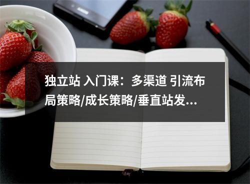 独立站 入门课：多渠道 引流布局策略/成长策略/垂直站发展趋势与布局