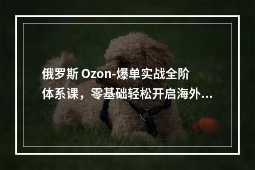 俄罗斯 Ozon-爆单实战全阶体系课，零基础轻松开启海外卖货（12节课）