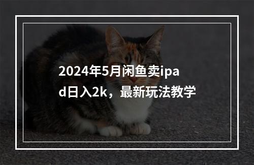 2024年5月闲鱼卖ipad日入2k，最新玩法教学