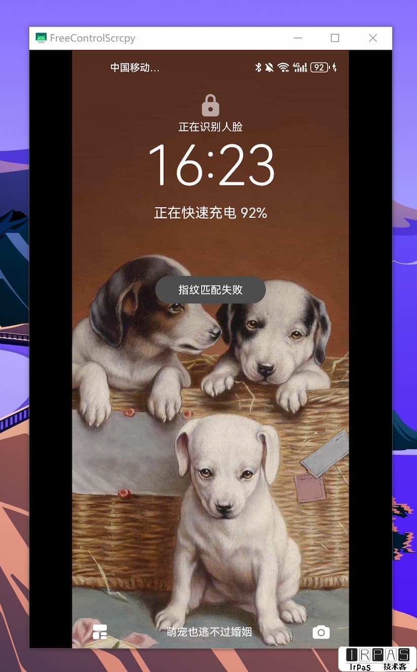 Free Control - 基于 Scrcpy，使用 Windows 控制安卓手机 2